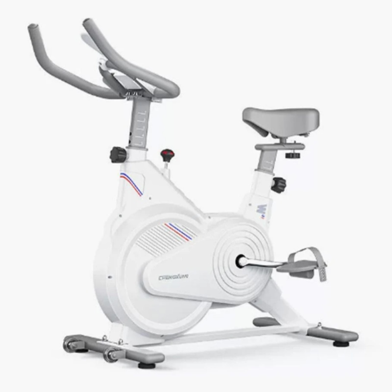 Home Gym Technogym - Стационарный велотренажер для дома, бесшумный велотренажер