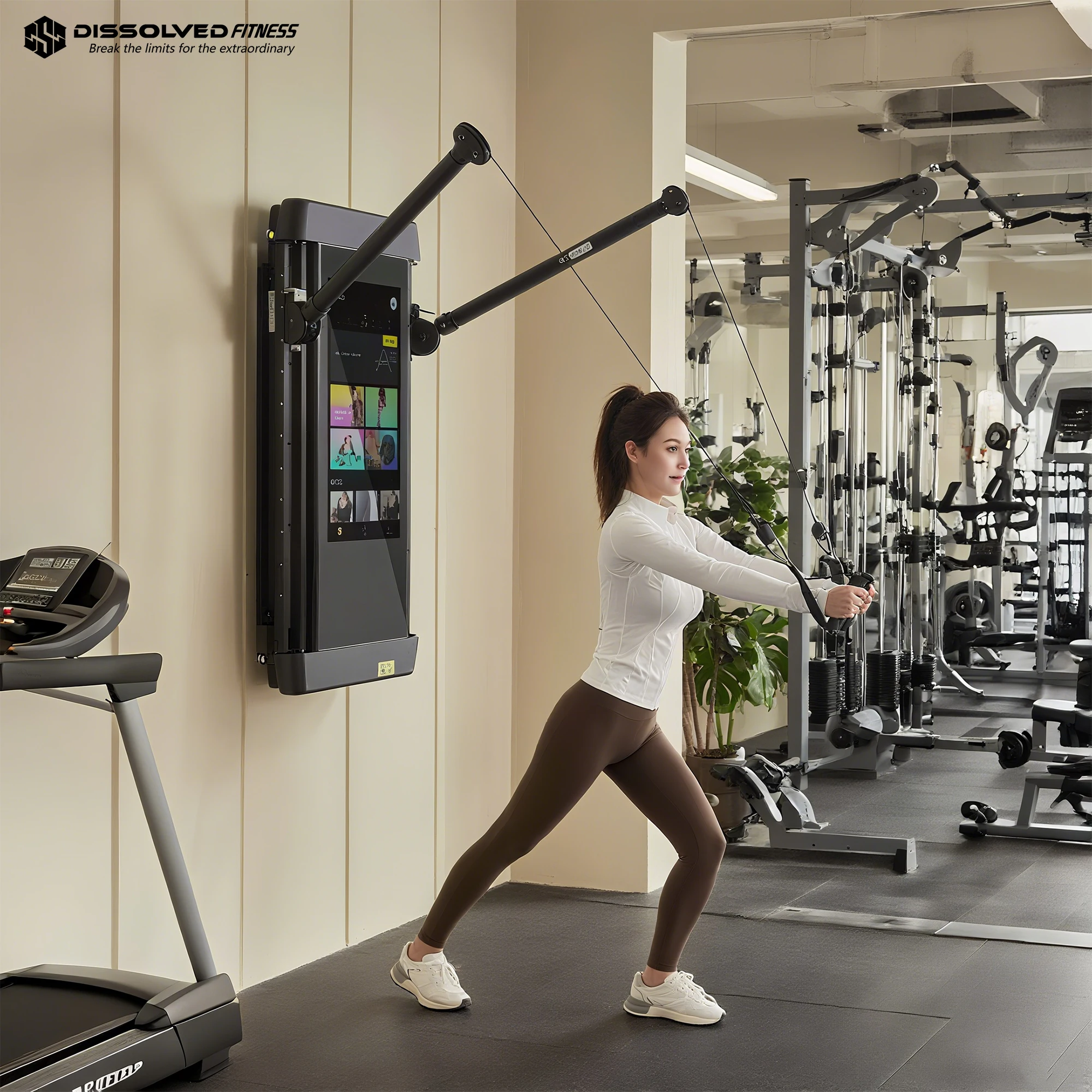 Умное AI-зеркало для тренирово – обзор и цена Home Gym Wall Mounted