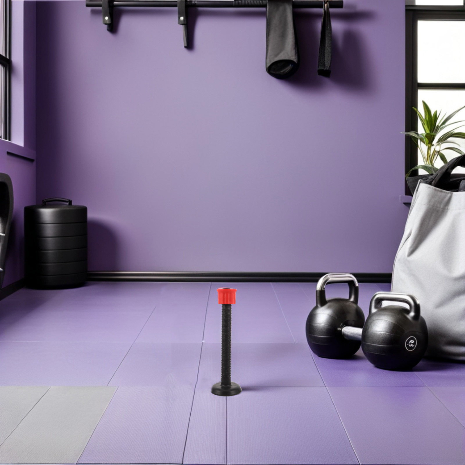 Пластиковые опорные штанги для – обзор и цена Home Gym Women