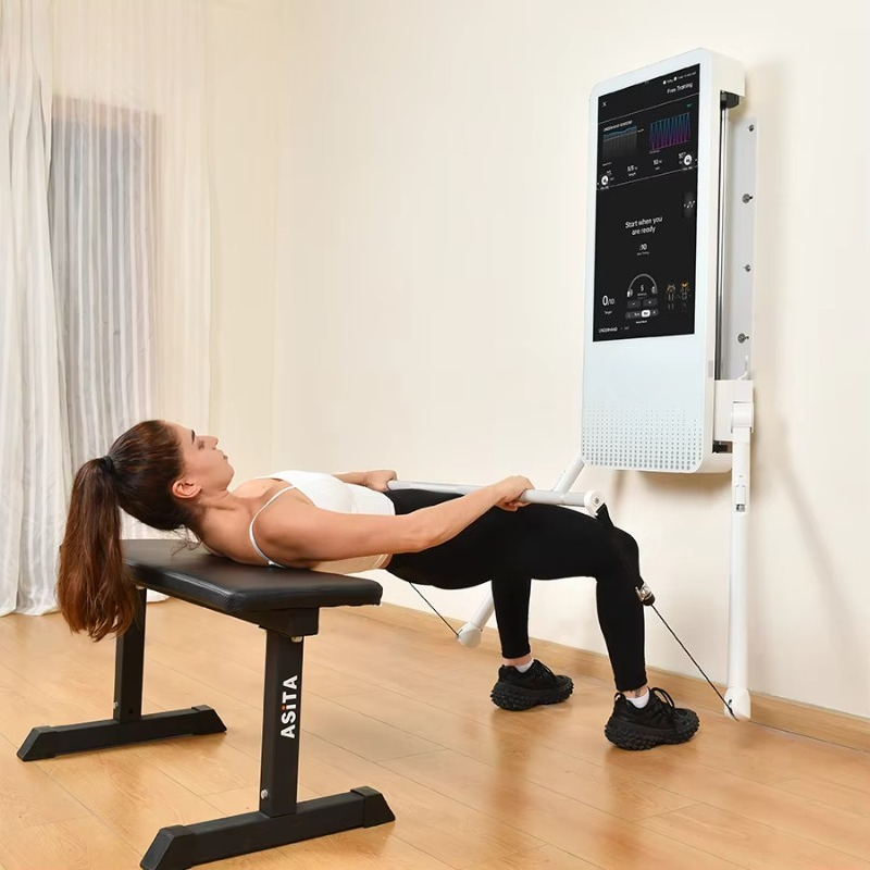 Многофункциональное домашнее ф – обзор и цена Home Gym Wall Mounted